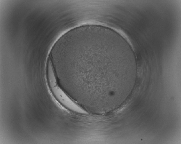 X0000067460903200604071125