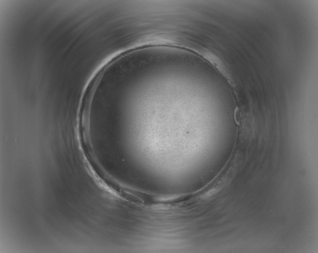 X0000067460904200604071125