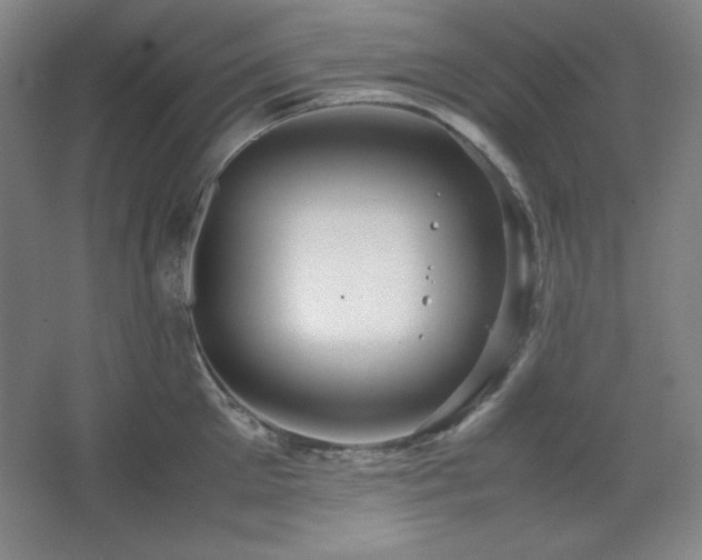 X0000067460905200604071125