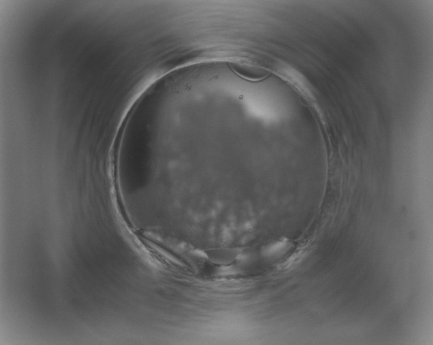 X0000067460907200604071125