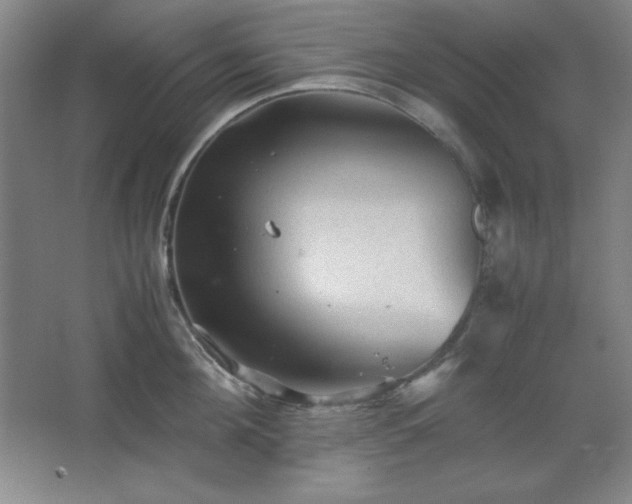 X0000067460908200604071125