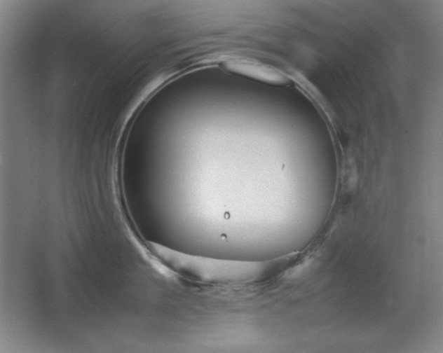 X0000067460909200604071125