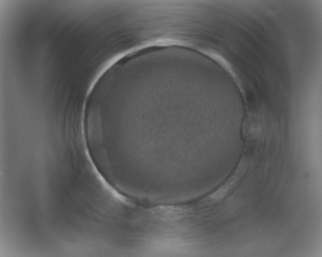 X0000067460910200604071125