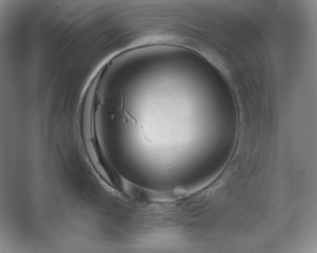 X0000067460912200604071125