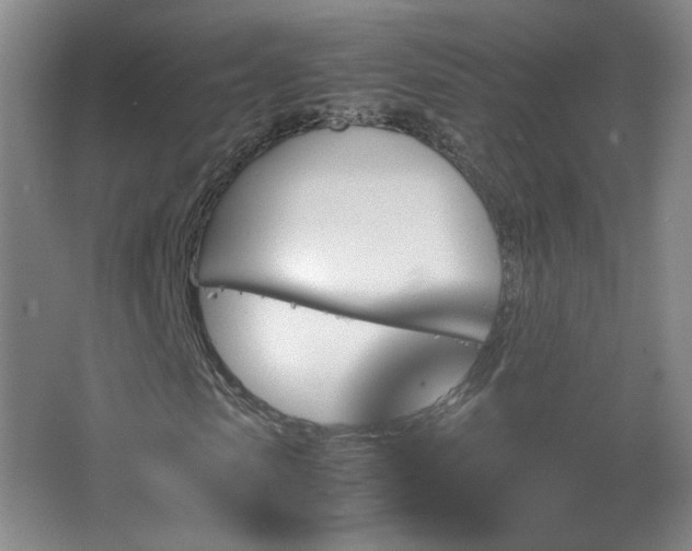 X0000067460913200604071124