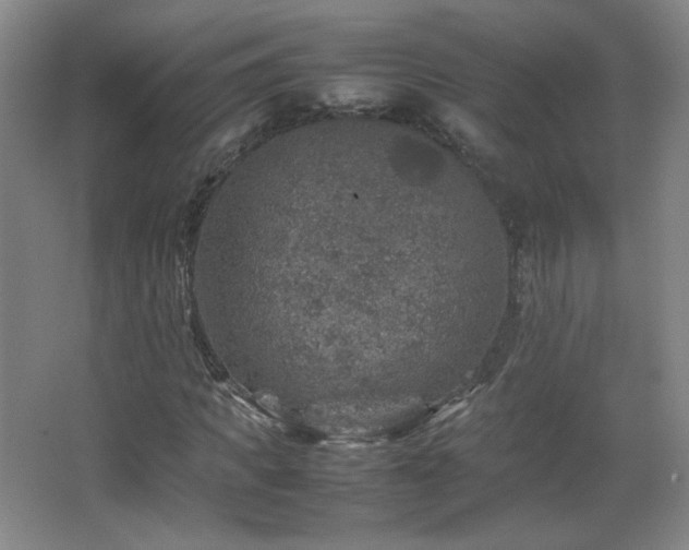 X0000067460917200604071124