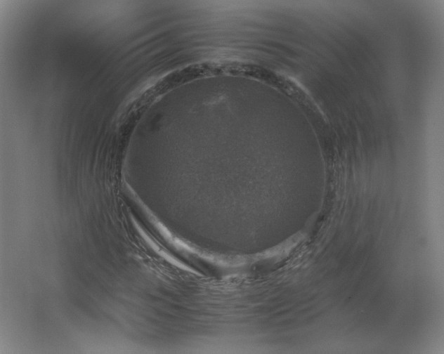 X0000067460919200604071124