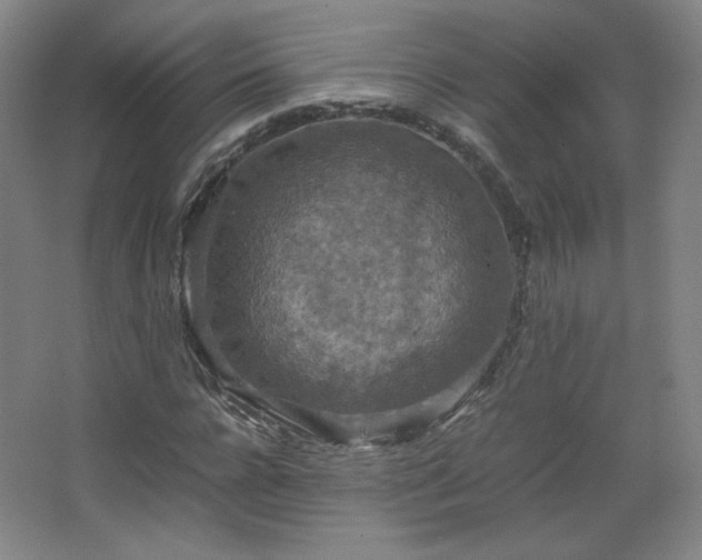 X0000067460920200604071124