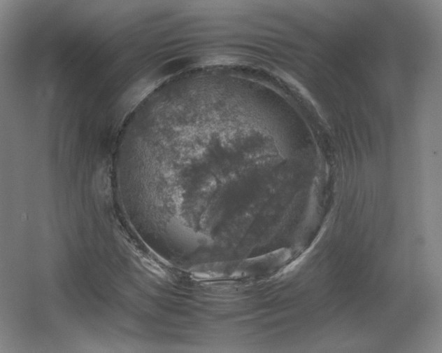 X0000067460921200604071124