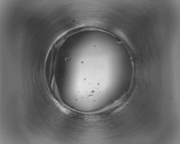 X0000067460924200604071124