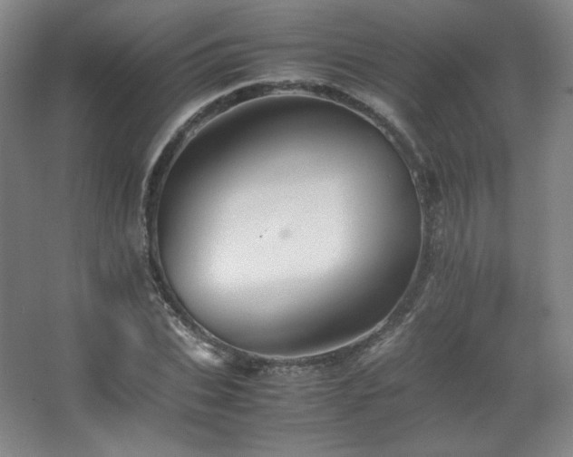 X0000067460927200604071124