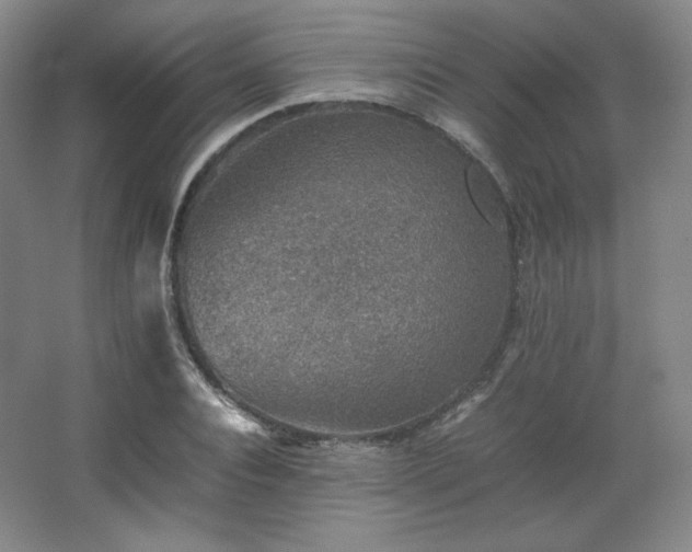 X0000067460928200604071124