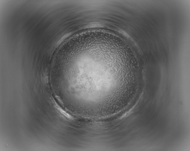 X0000067460929200604071124