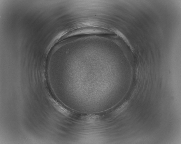 X0000067460930200604071124