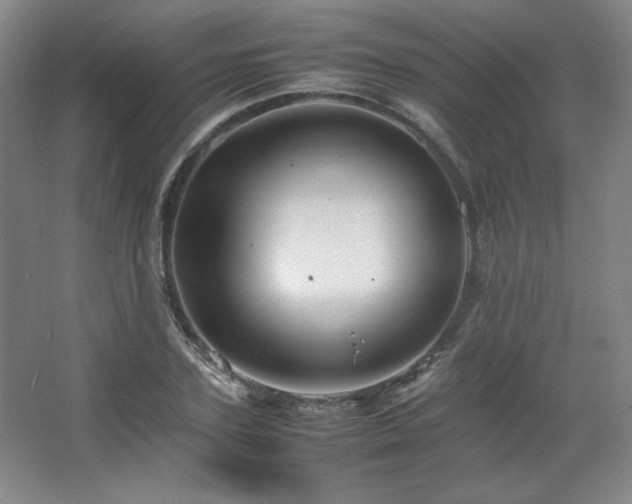 X0000067460931200604071124