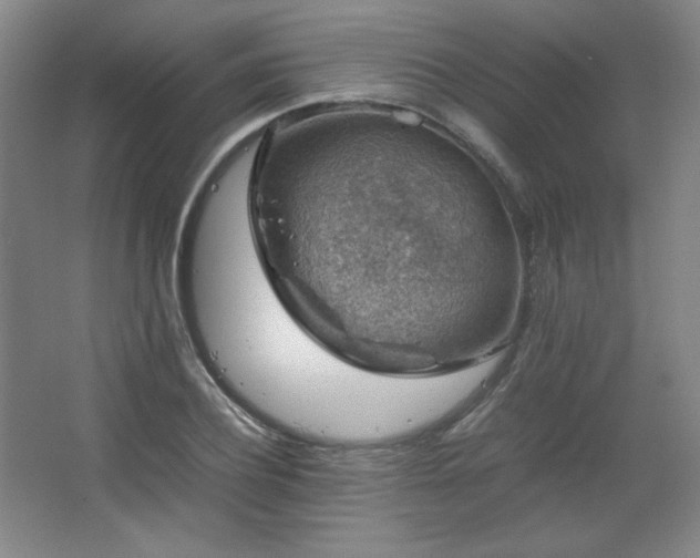 X0000067460932200604071124