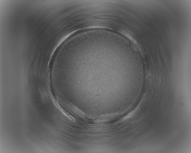 X0000067460933200604071124