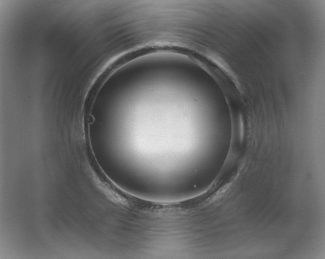 X0000067460934200604071124