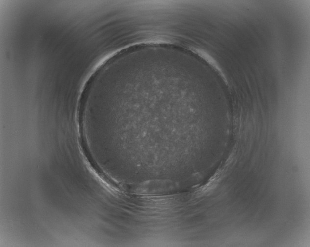 X0000067460935200604071124