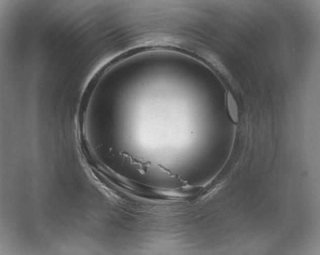 X0000067460936200604071124