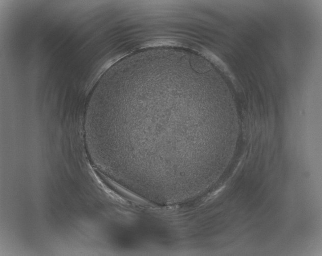 X0000067460937200604071124