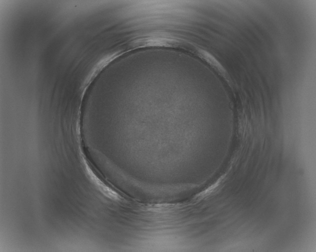 X0000067460938200604071124