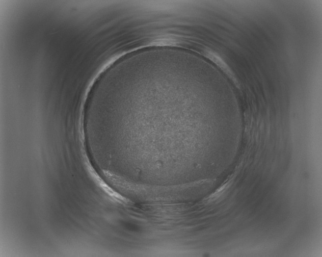 X0000067460939200604071124