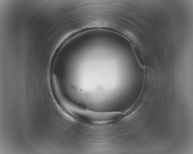 X0000067460942200604071124