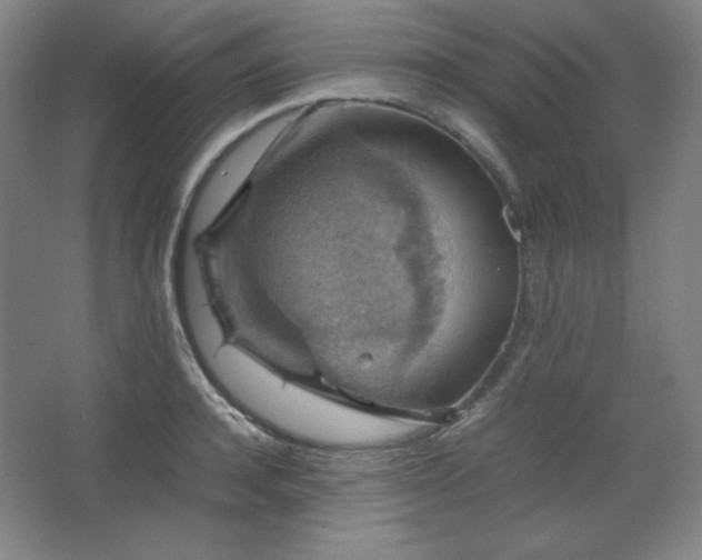 X0000067460944200604071124