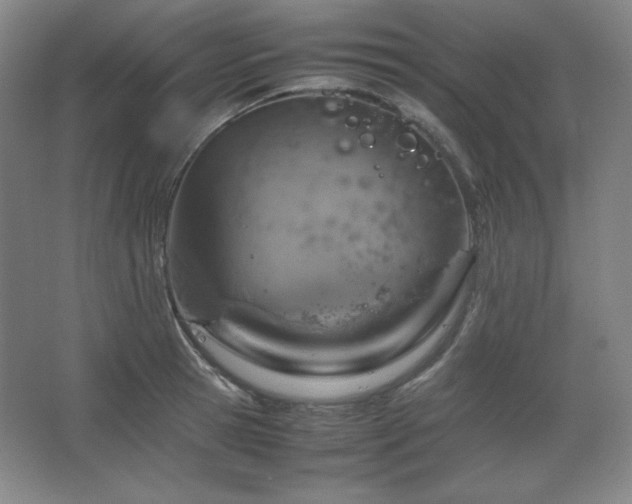 X0000067460945200604071124