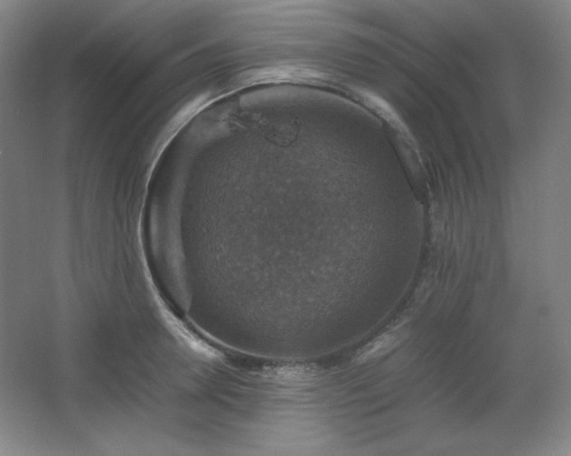 X0000067460946200604071124