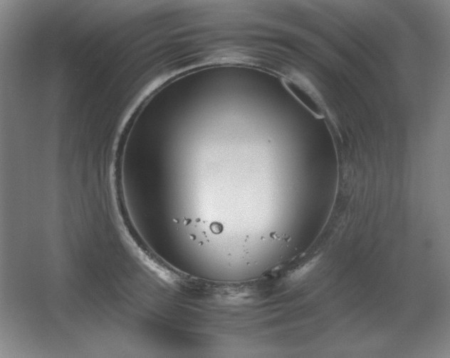 X0000067460947200604071124