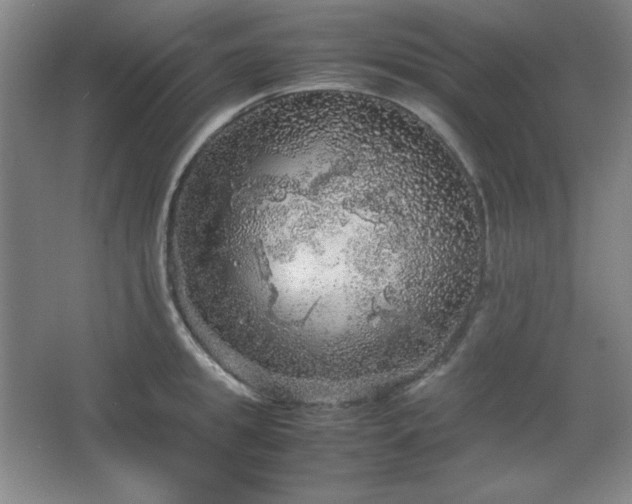 X0000067460949200604071124