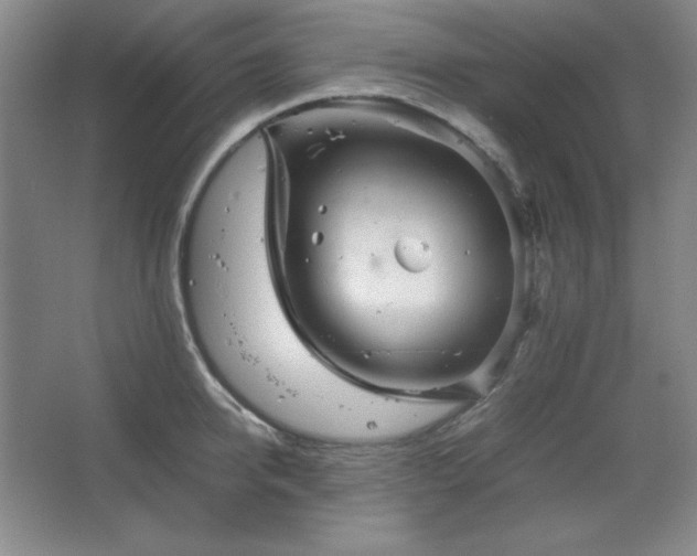 X0000067460950200604071124