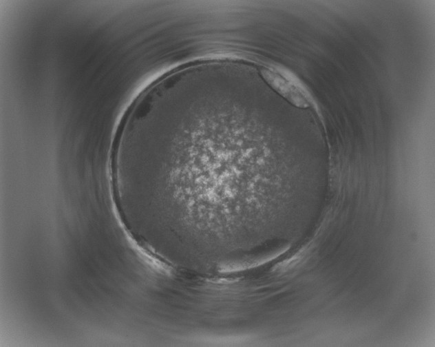 X0000067460951200604071125