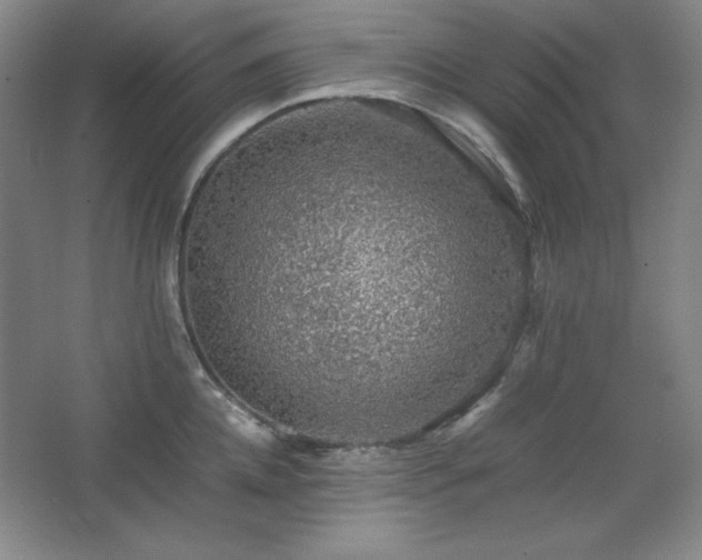 X0000067460952200604071125