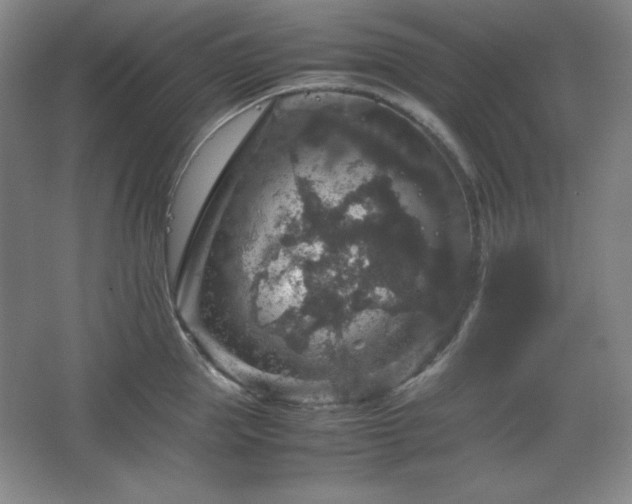 X0000067460953200604071125