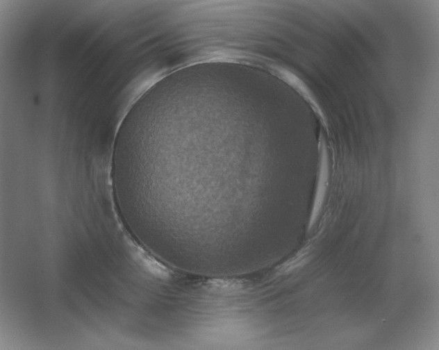 X0000067460954200604071125