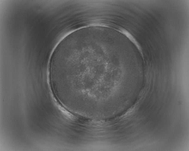 X0000067460955200604071125