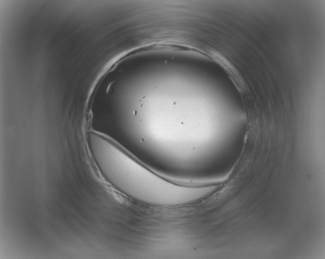 X0000067460956200604071125