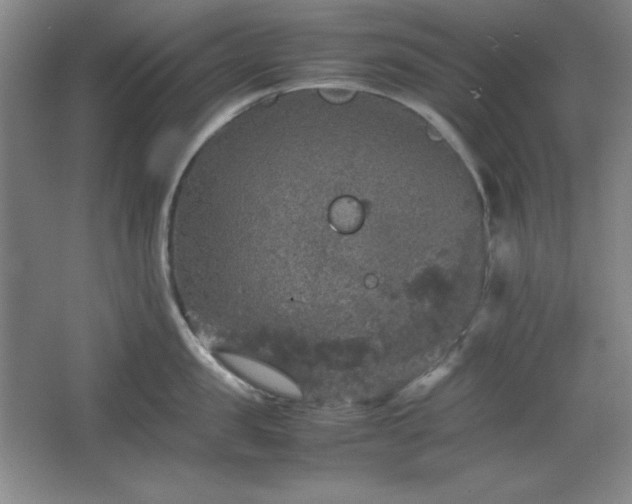 X0000067460957200604071125