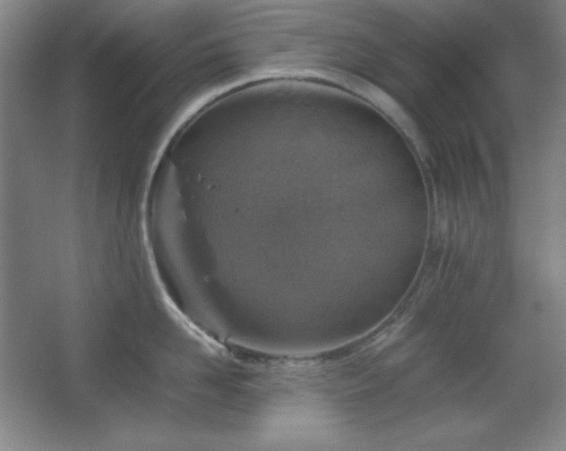 X0000067460958200604071125