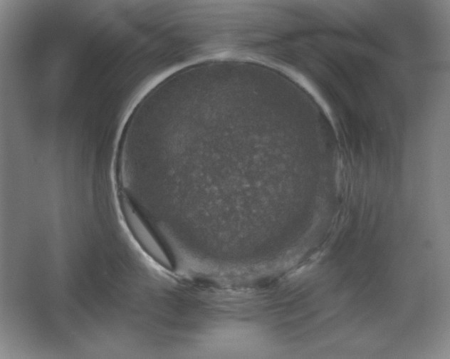 X0000067460959200604071125