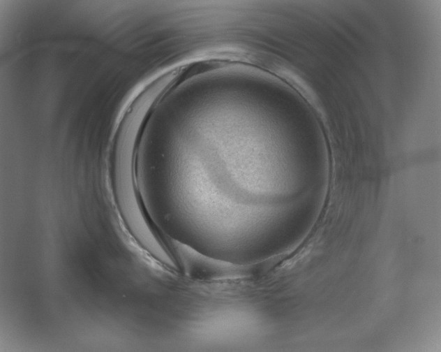 X0000067460960200604071125