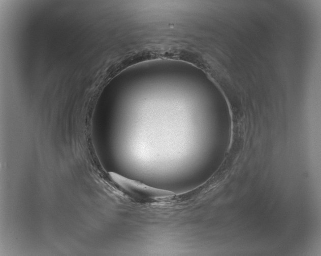 X0000067460961200604071124