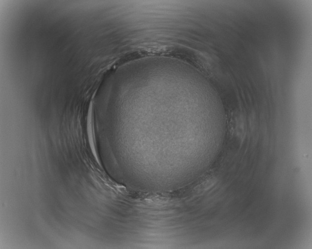 X0000067460962200604071124