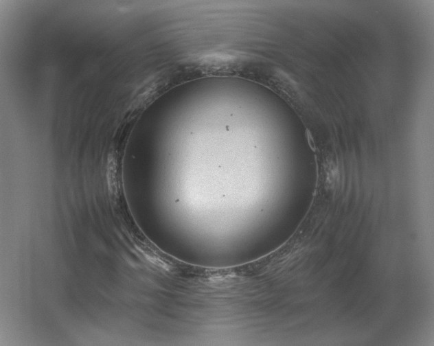 X0000067460964200604071124