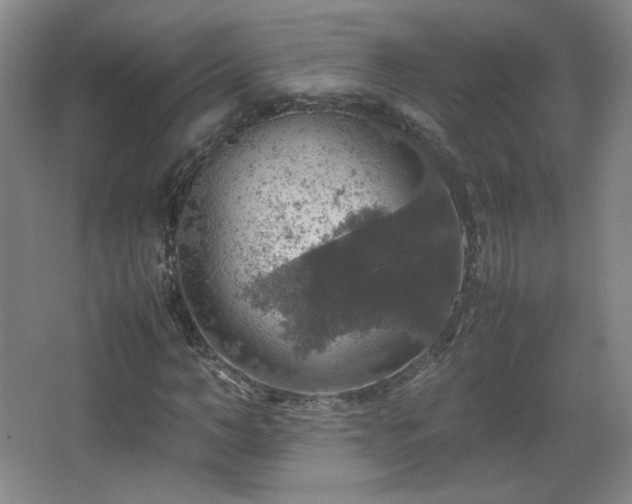 X0000067460966200604071124