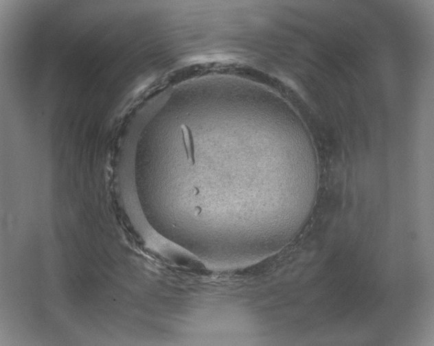 X0000067460967200604071124