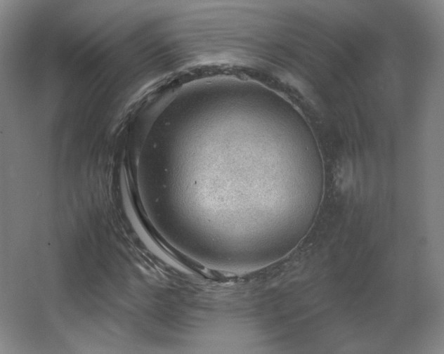 X0000067460968200604071124